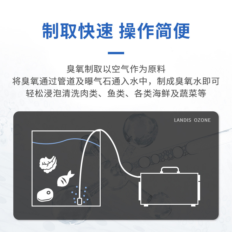 兰蒂斯臭氧发生器 兰蒂斯臭氧发生器