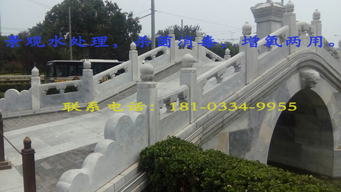 景观水处理用臭氧发生器