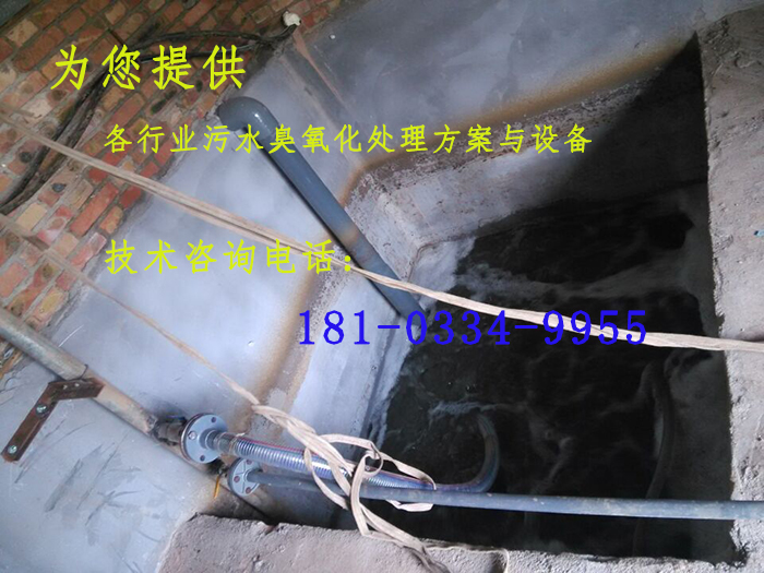 污水臭氧化处理