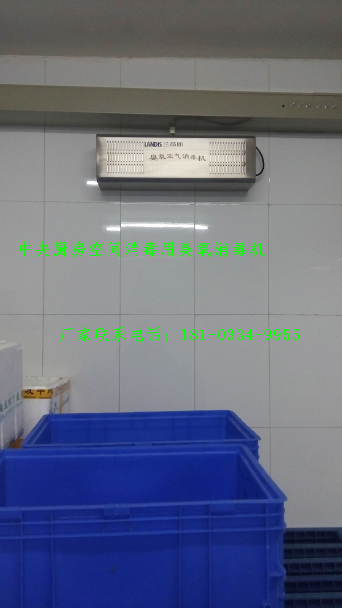 食品厂专用臭氧机